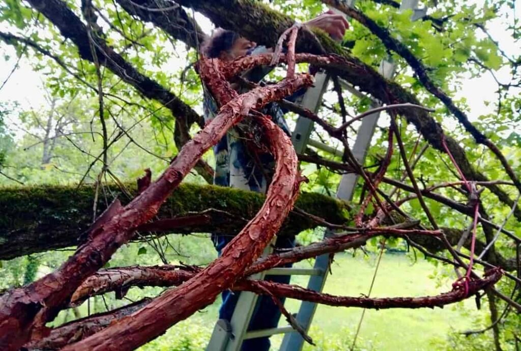 dans le second parcours du "Sculptour" inauguré en 2025...